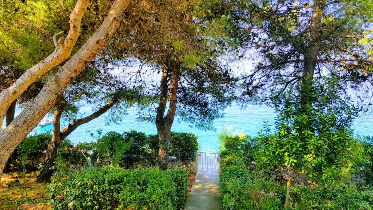 Villa Maja โตรกีร์ ภายนอก รูปภาพ