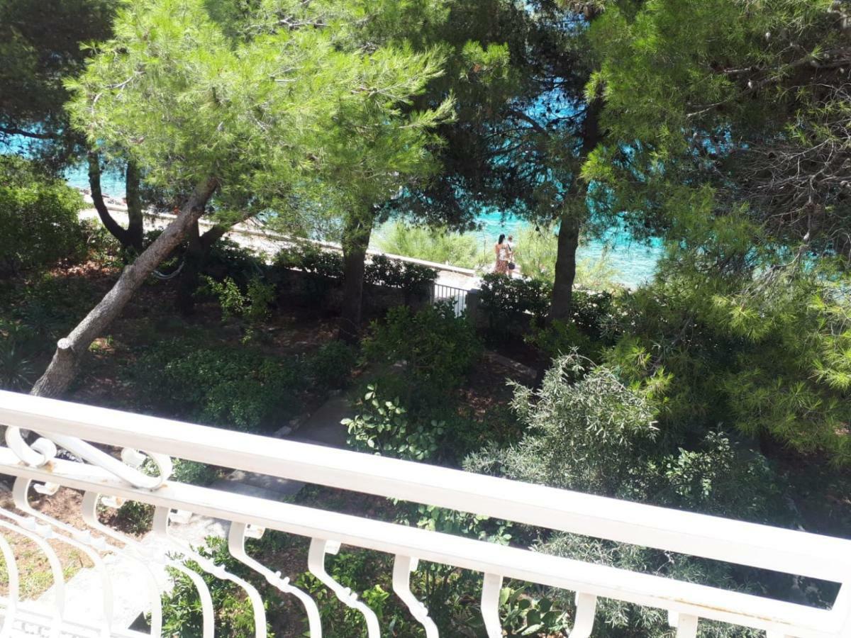 Villa Maja โตรกีร์ ภายนอก รูปภาพ